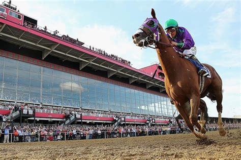horseprerace reviews